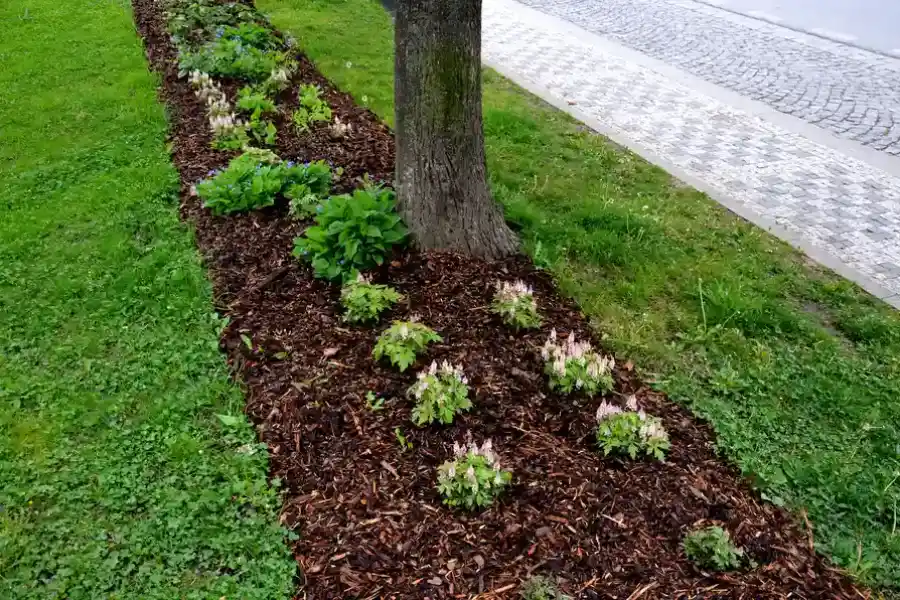 Excellent Mulching Auburn, WA Excellent Mulching Auburn, WA