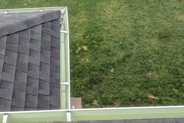 Gutter Cleaning Service