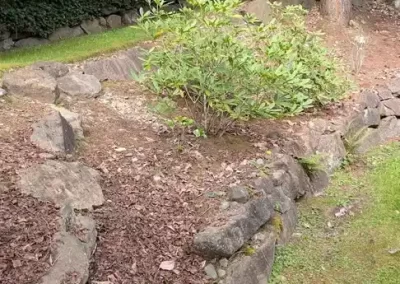 Professional Landscape Contractor