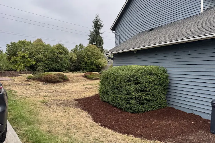 Professional Landscaping Services