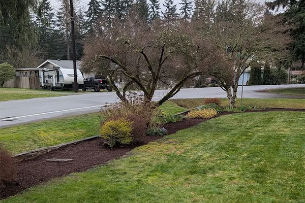 Professional Landscaping Services