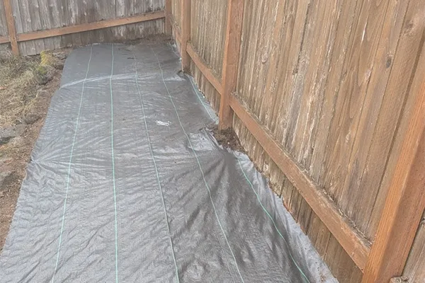 Professional Landscaping Services