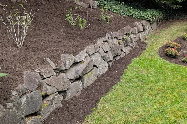 Professional Landscaping Services