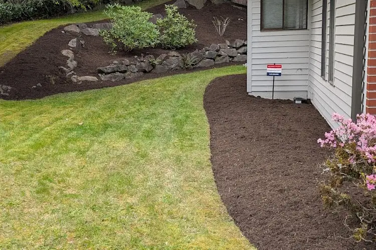 Professional Landscaping Services