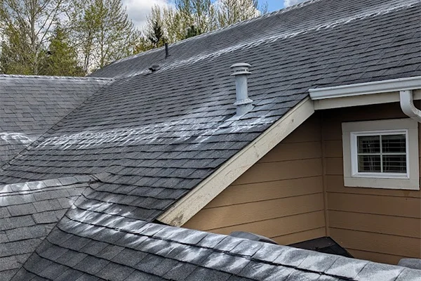 Roof Cleaning