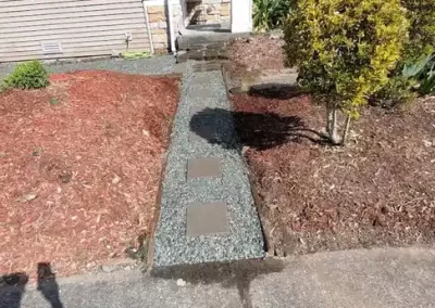 Skilled Landscape Designer