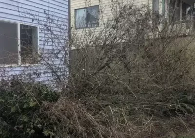 Skilled Landscape Designer
