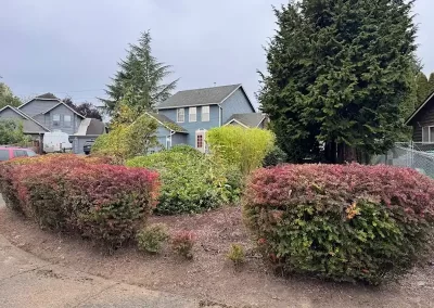 Skilled Landscape Designer