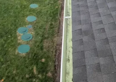 Skilled Landscape Designer