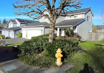 Skilled Landscape Designer